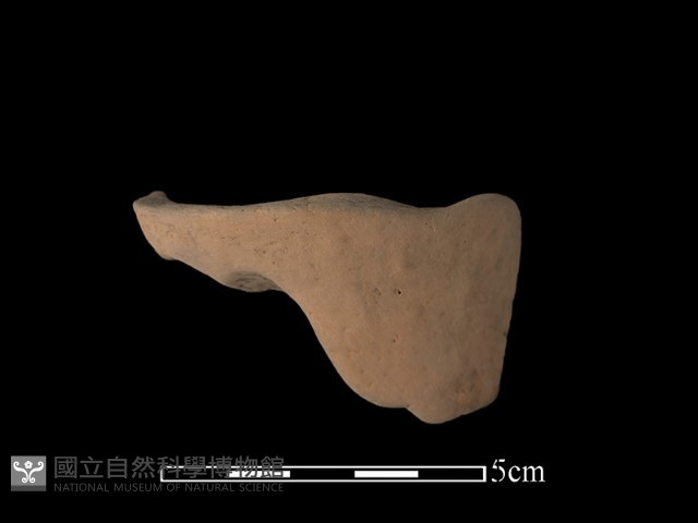 陶片藏品圖，第2張