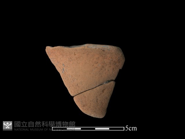 陶片藏品圖，第1張