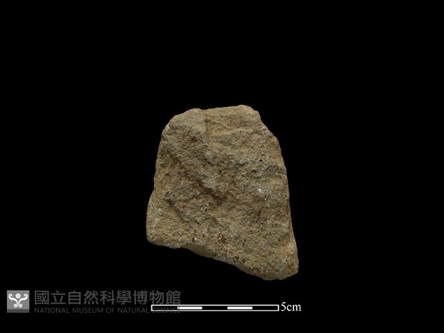 斧鋤形器藏品圖，第2張
