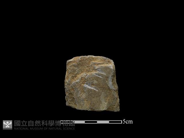 斧鋤形器藏品圖，第1張