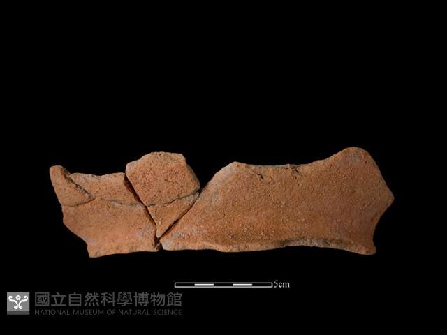 陶罐藏品圖，第2張