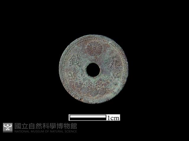 銅錢藏品圖，第2張