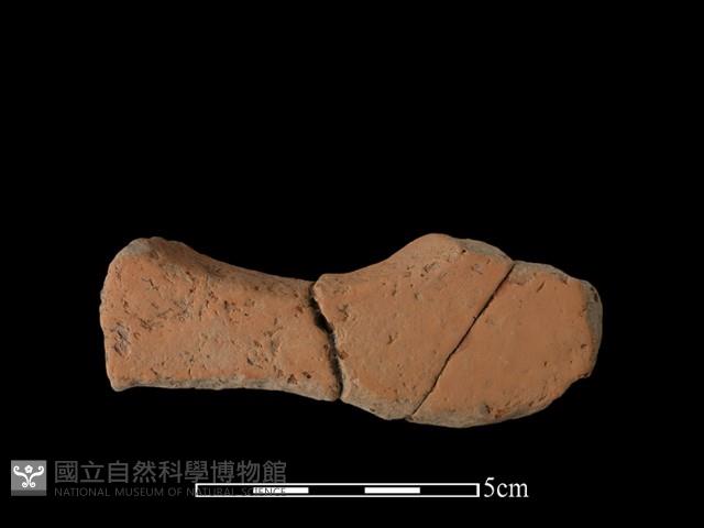 連杯形器藏品圖，第2張