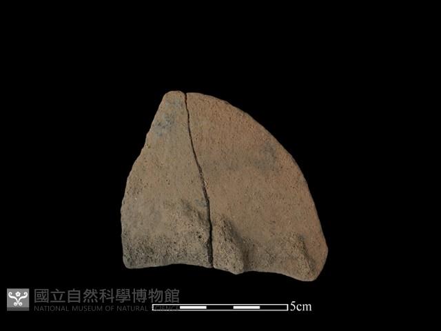 陶片藏品圖，第1張