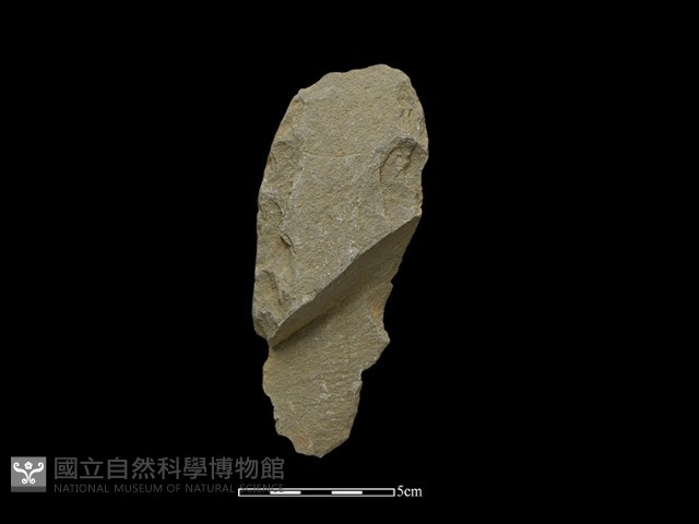 斧鋤形器藏品圖，第1張