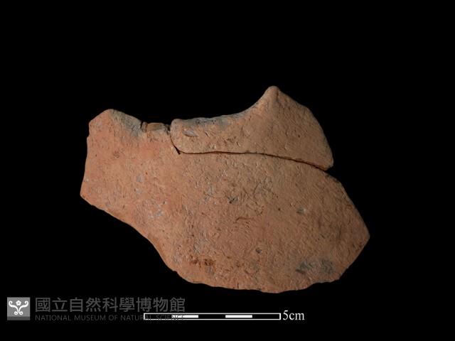 陶片藏品圖，第2張