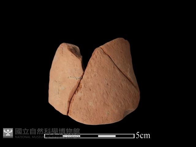 陶片藏品圖，第2張