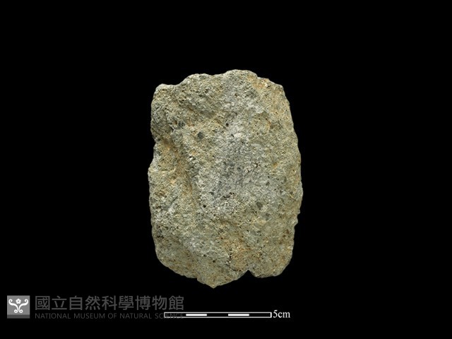 斧鋤形器藏品圖，第2張