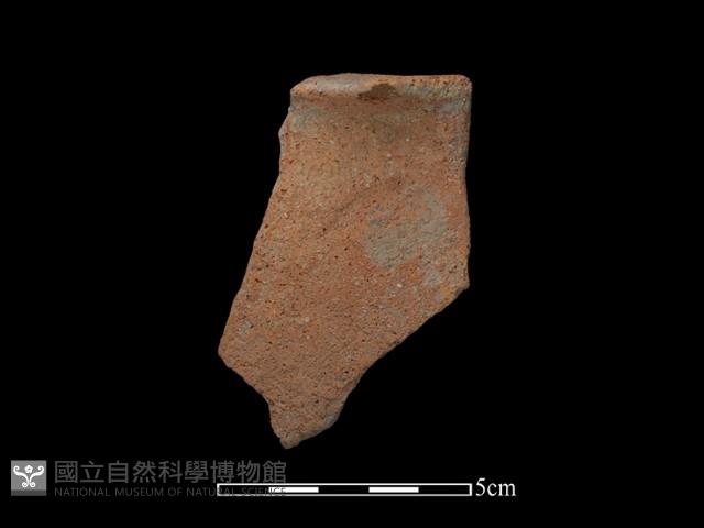 陶片藏品圖，第1張