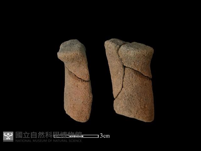 獸足藏品圖，第1張