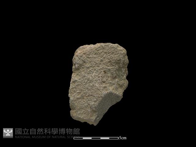 斧鋤形器藏品圖，第1張