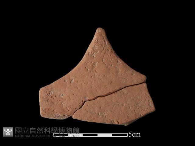 連杯形器藏品圖，第2張