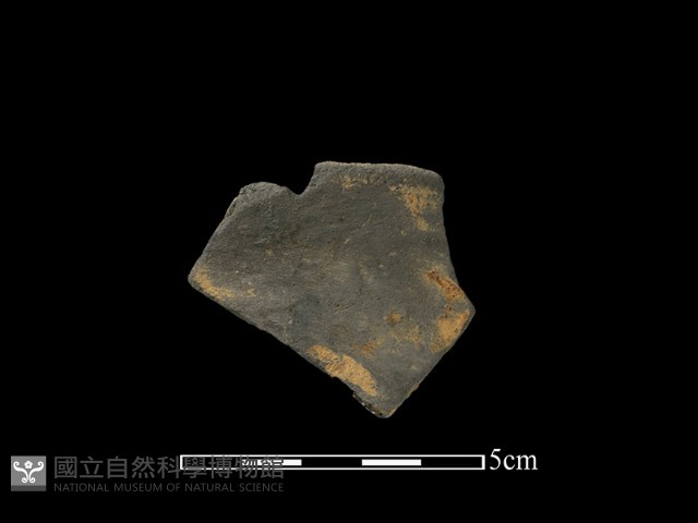 陶片藏品圖，第1張