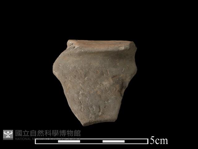 豆形器藏品圖，第2張