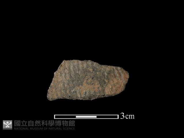 陶片藏品圖，第1張