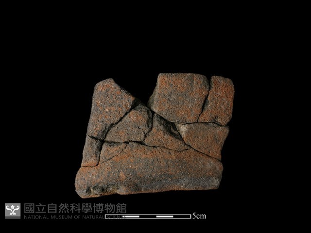 陶罐藏品圖，第1張