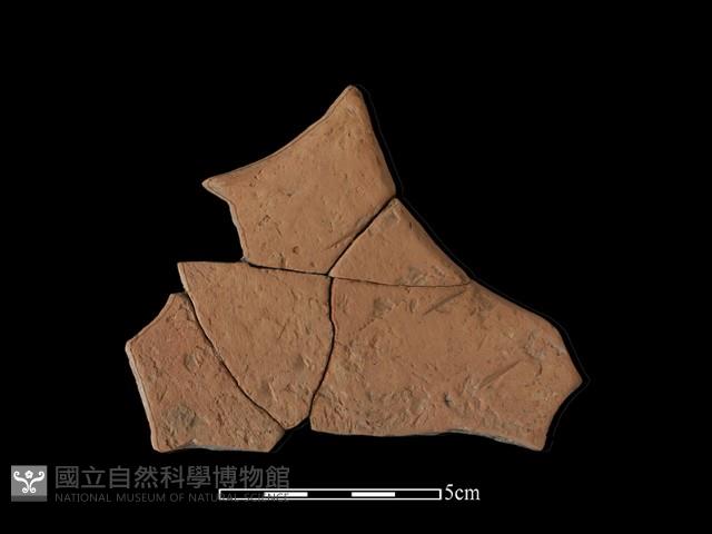 連杯形器藏品圖，第1張