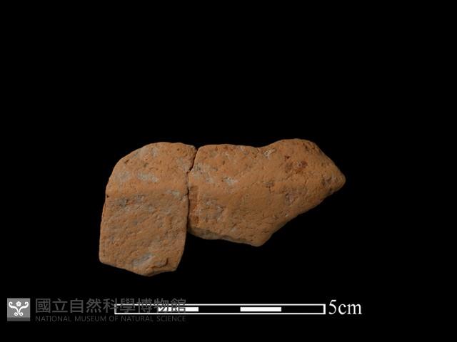 陶片藏品圖，第1張