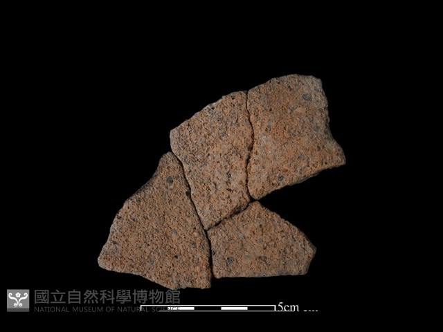 陶片藏品圖，第1張