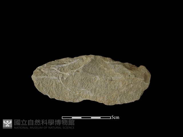 石片器藏品圖，第1張