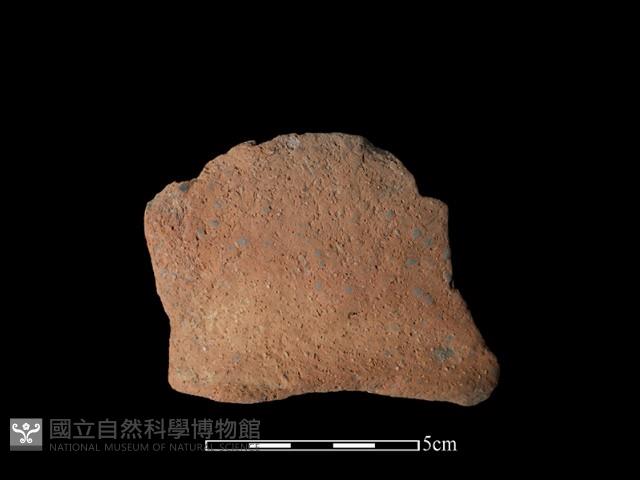 陶罐藏品圖，第1張