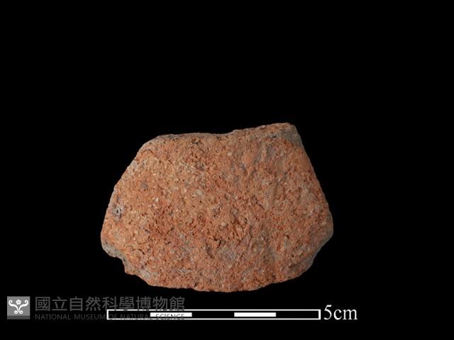 陶片藏品圖，第2張