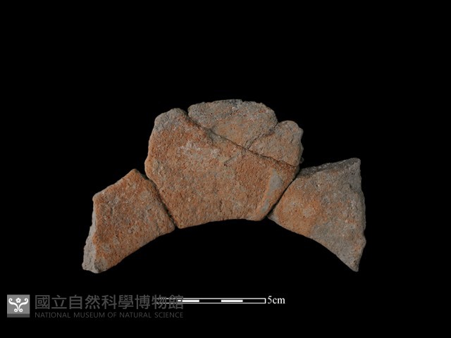 陶罐藏品圖，第1張