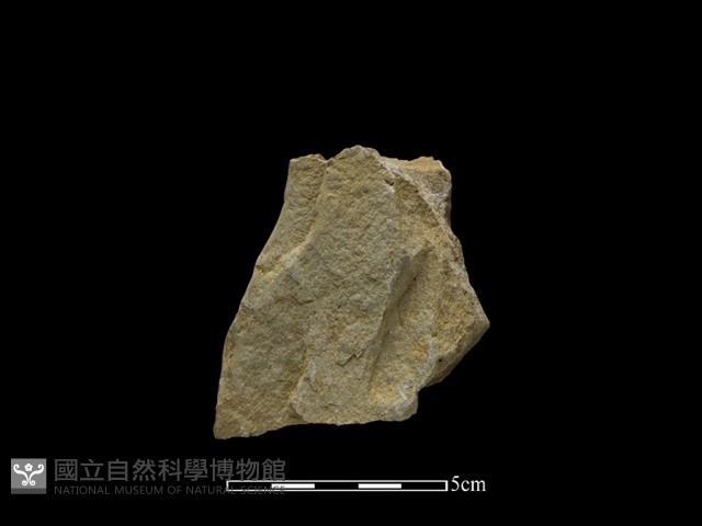 斧鋤形器藏品圖，第1張