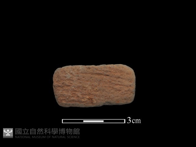 陶片藏品圖，第1張