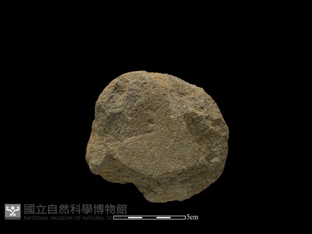 砍砸器藏品圖，第2張