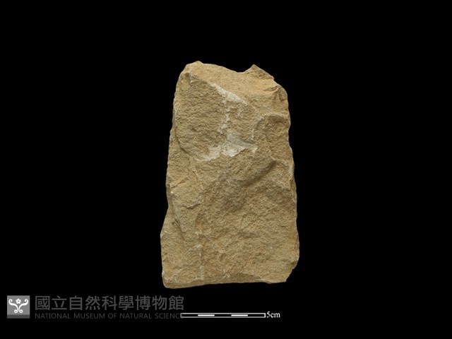 斧鋤形器藏品圖，第1張