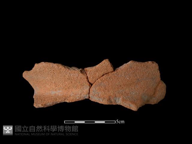 陶罐藏品圖，第2張