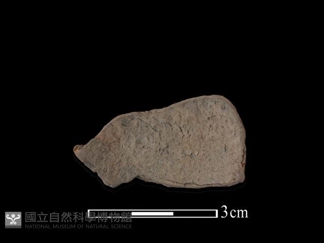 連杯形器藏品圖，第2張