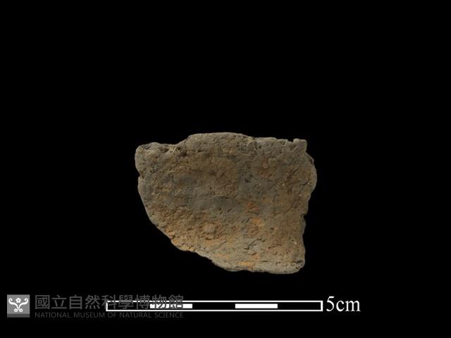 陶片藏品圖，第1張