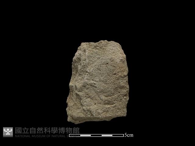 斧鋤形器藏品圖，第1張