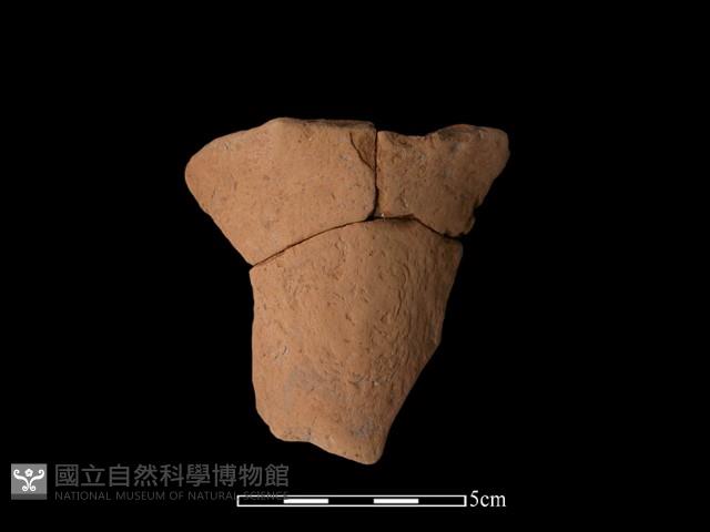 豆形器藏品圖，第2張