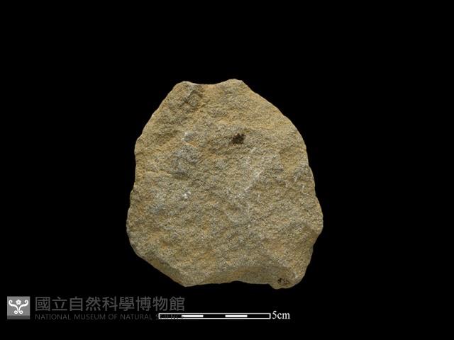 斧鋤形器藏品圖，第2張