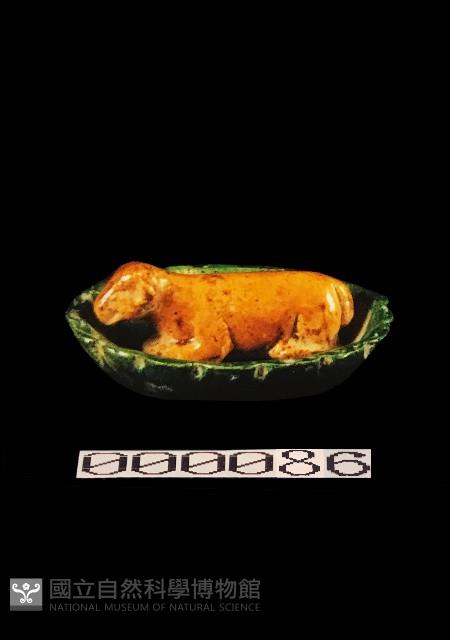 動物盤藏品圖，第1張