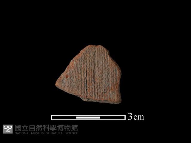 陶片藏品圖，第1張