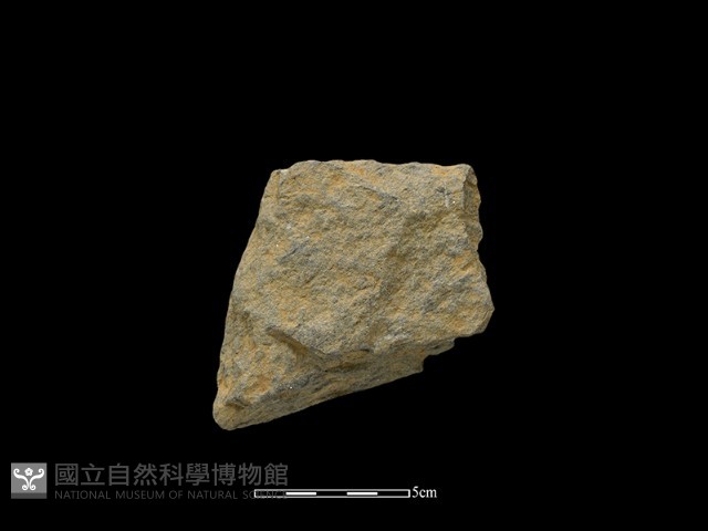 斧鋤形器藏品圖，第2張