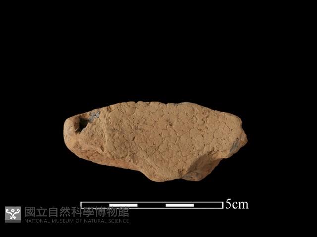 連杯形器藏品圖，第1張