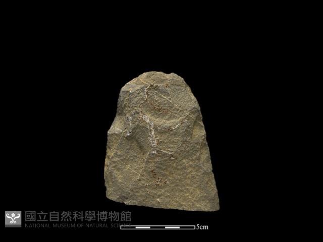 斧鋤形器藏品圖，第2張