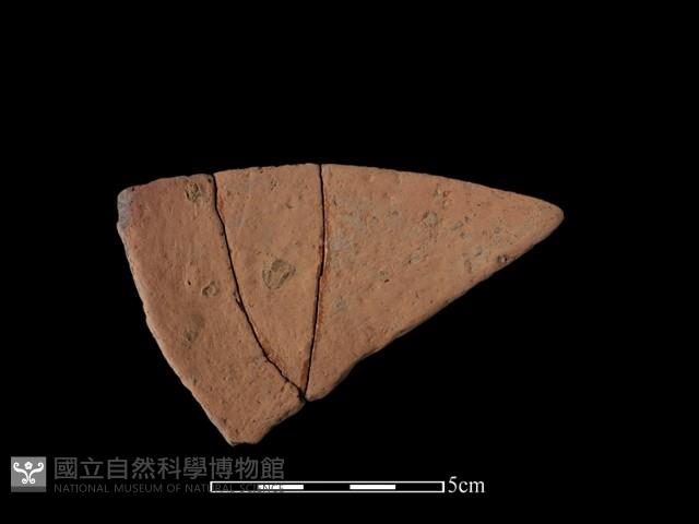 陶片藏品圖，第1張