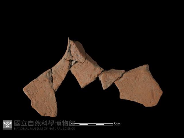 連杯形器藏品圖，第1張