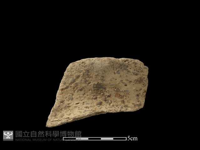 陶片藏品圖，第1張