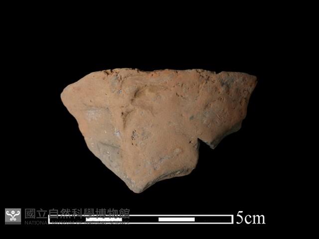 陶片藏品圖，第2張