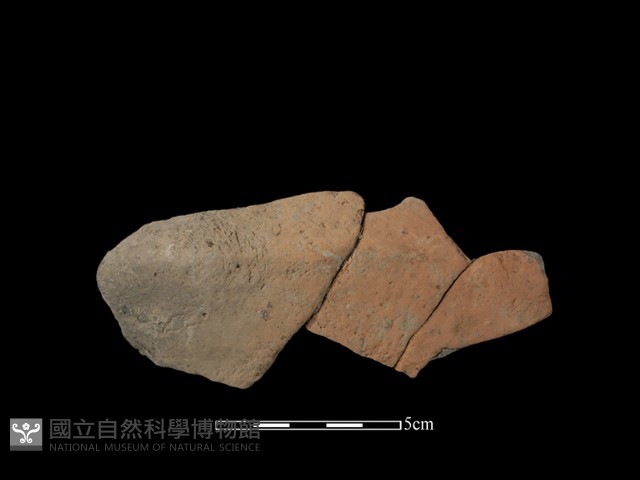 陶片藏品圖，第2張