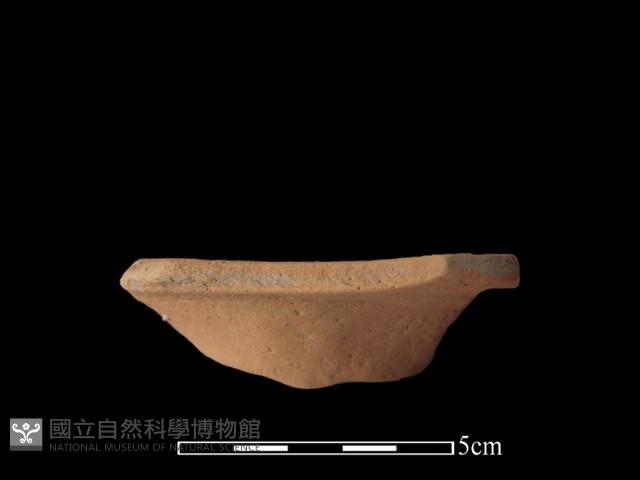 豆形器藏品圖，第2張