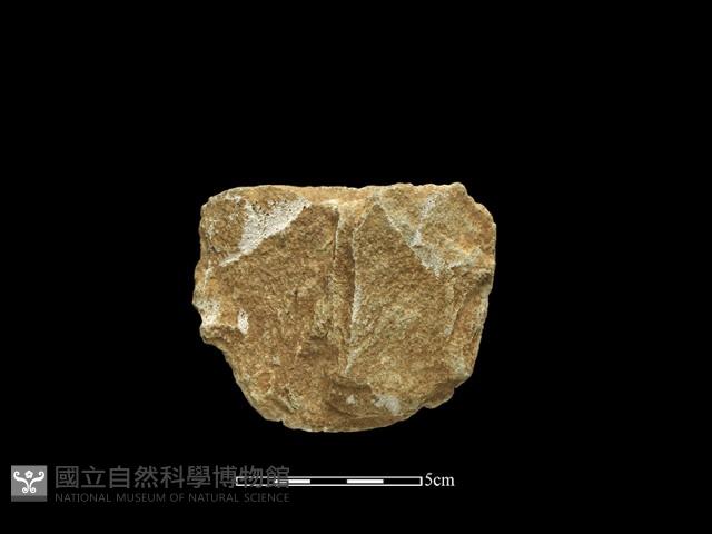 斧鋤形器藏品圖，第1張