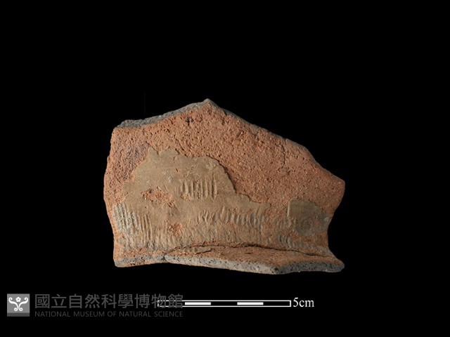 陶罐藏品圖，第1張